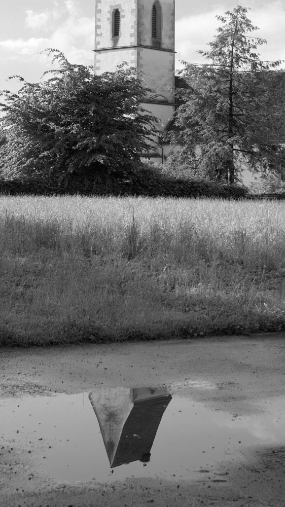 Quartalsbild 2 Joya Lingg 2024 06 03